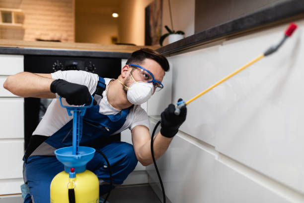 Best Mosquito Control Services  in Fairview, UT