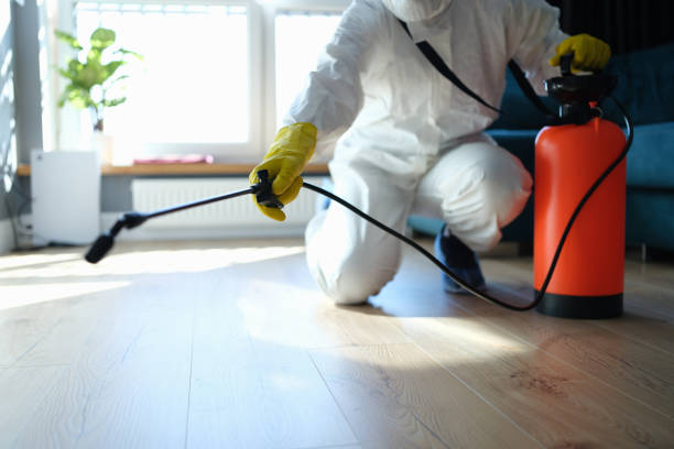 Reliable Fairview, UT Pest Control Solutions