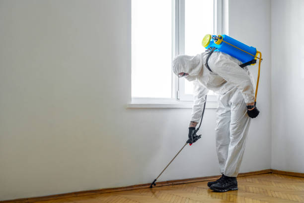 Best Best Pest Control Companies  in Fairview, UT