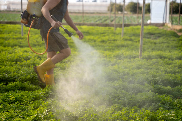 Best Pest Inspection Near Me  in Fairview, UT