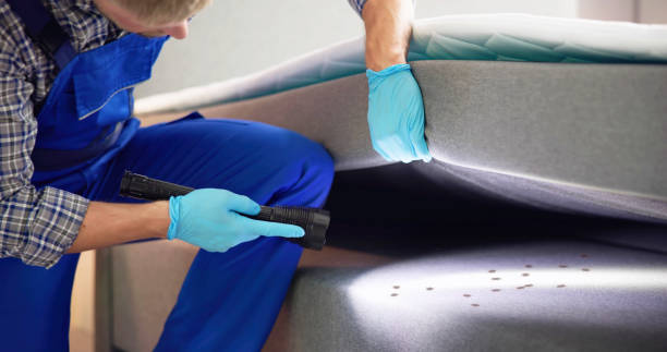 Best Local Pest Control Services  in Fairview, UT